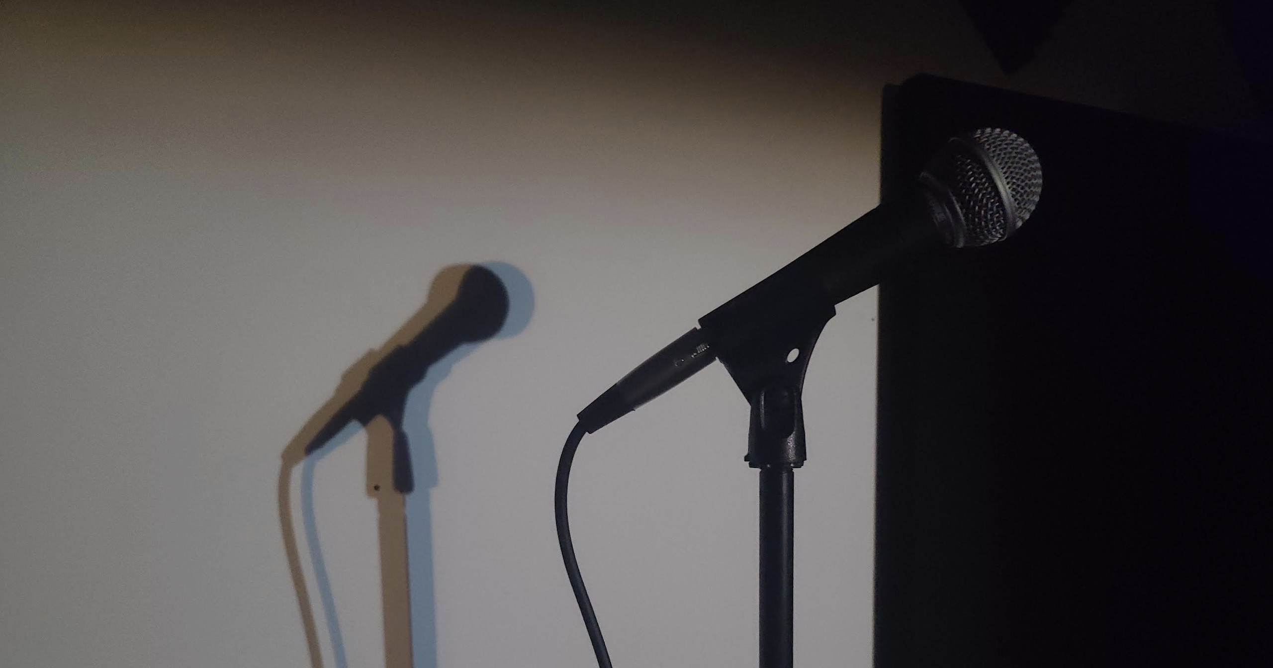 mic'd